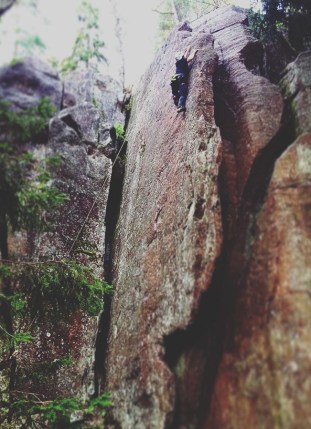 14199195_10154419902408955_6655427849357221081_n