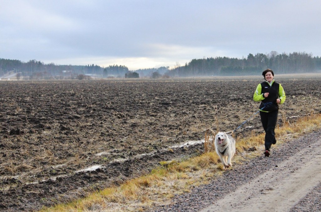 Uudenvuoden lupauksia