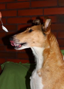 Äiti näyttää mallia