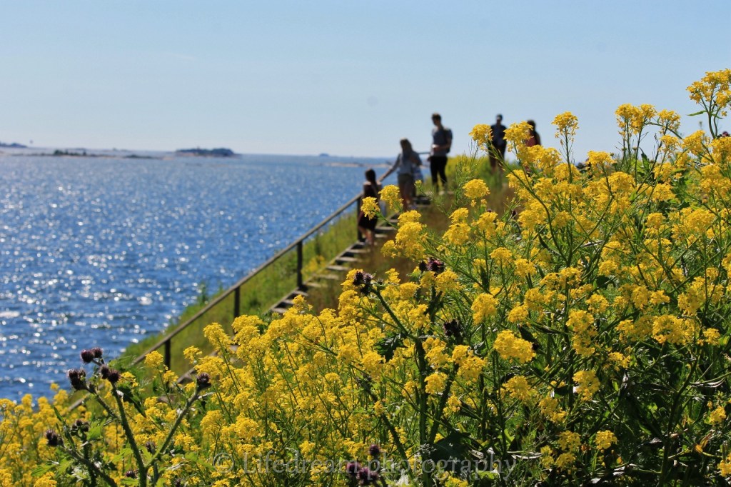 suomenlinna6