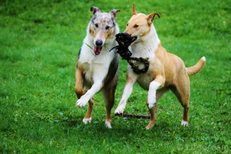 tehtava2.1.suljinaika16002