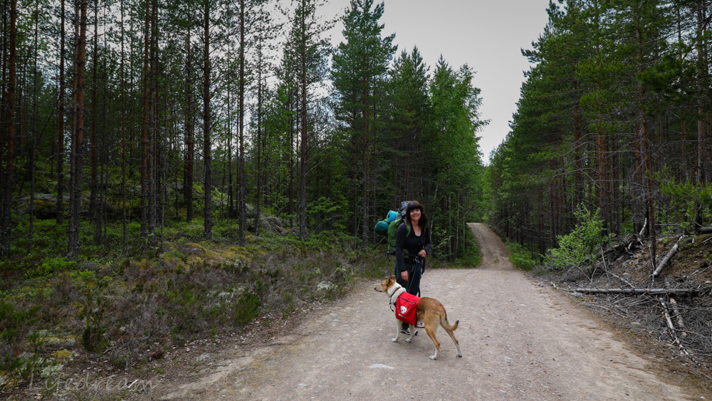 Eräpirkot Repovedellä, Juhannus osa&nbsp;II