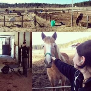 12974432_10154026663068955_7011365133377383408_n