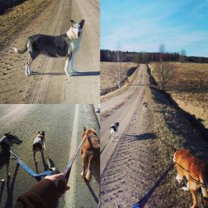 1916241_10154012032783955_5490147452205357777_n