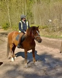 13173649_10206465396693098_8978472612565737005_n