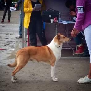 FB_IMG_1520334583645[1]