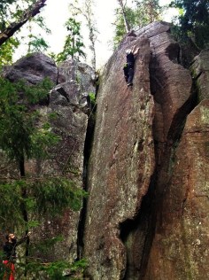 14237529_2100756636815633_314630283072502907_n