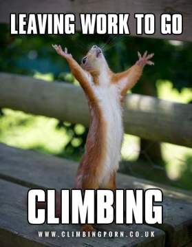 15356616_207827466338483_8871565072080448292_n-png1