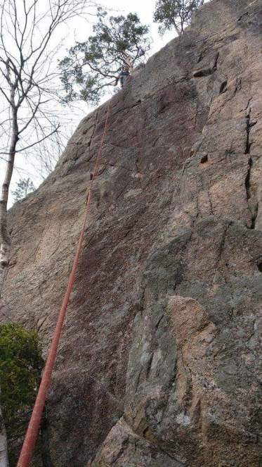 received_10212767373162966[1]