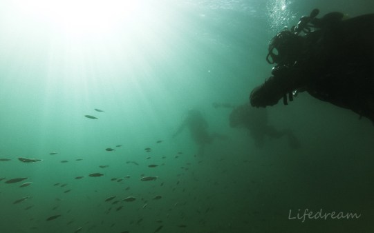 DCIM100GOPROGOPR1089.