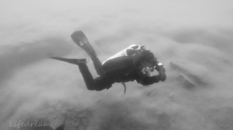 DCIM100GOPROGOPR1129.