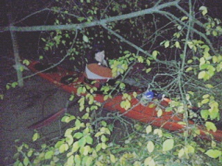 IMG_20171015_075816_145[1]