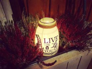 23722541_1825478647743304_5828477540217670355_n