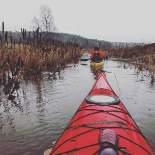 IMG_20171106_090348_919