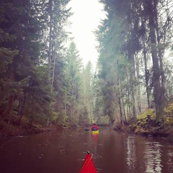 IMG_20171106_090348_922