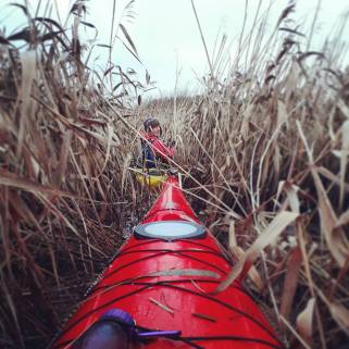 IMG_20171106_090348_928