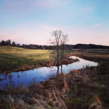 IMG_20171108_063534_474