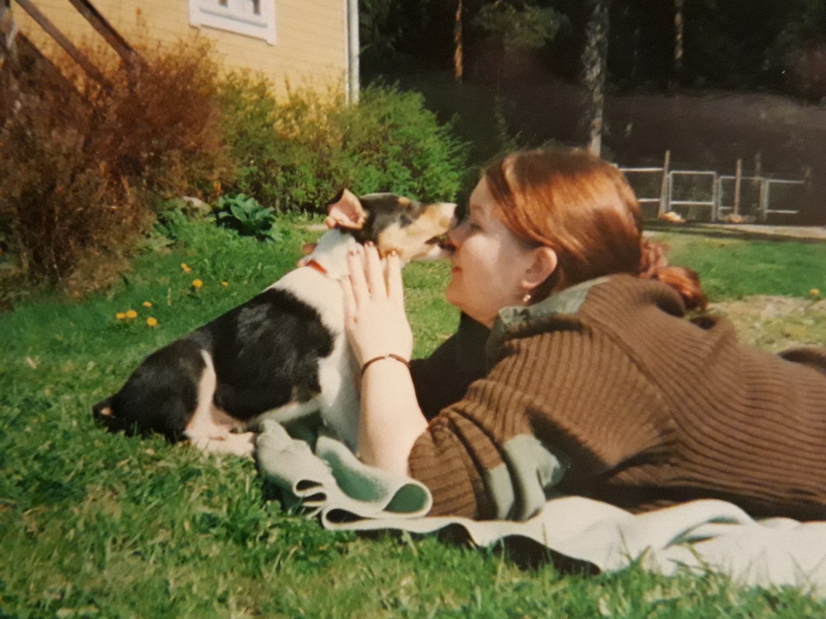 Koiran tietoisuus ja&nbsp;tunteet