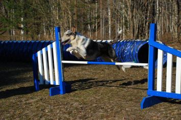 389084_447380171948993_990217067_n