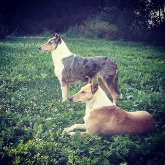 FB_IMG_1520334609086