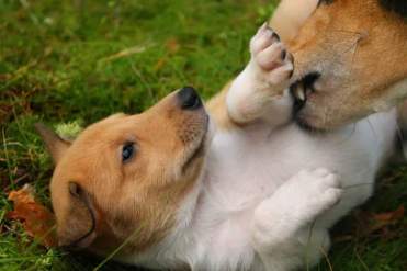 FB_IMG_1520359509779