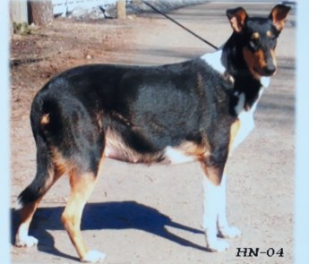 IMG_20180411_213119_213