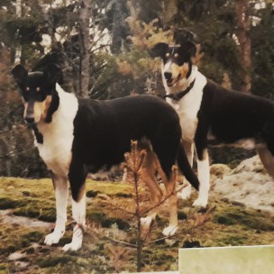 IMG_20180415_235527_464