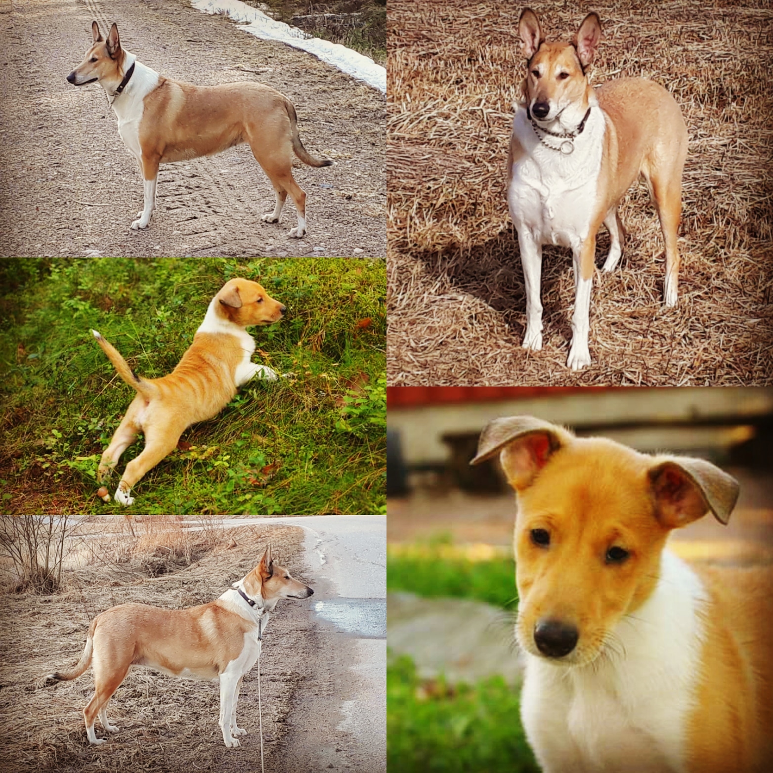 IMG_20180420_103942_138