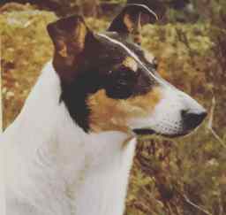 IMG_20180416_123311_761