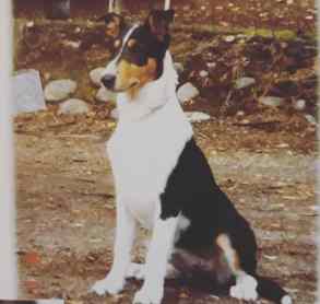 IMG_20180416_123311_762