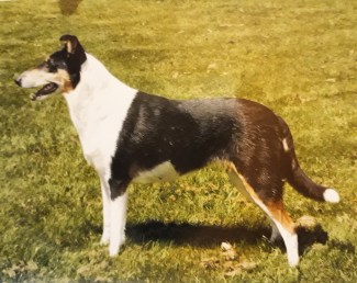 IMG_20180416_130025_356