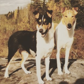 IMG_20180416_180536_461