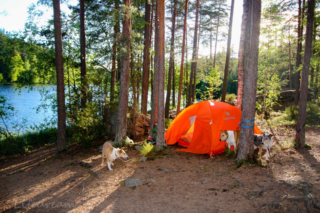 Vaellustreeniä Salmen ulkoilualueella