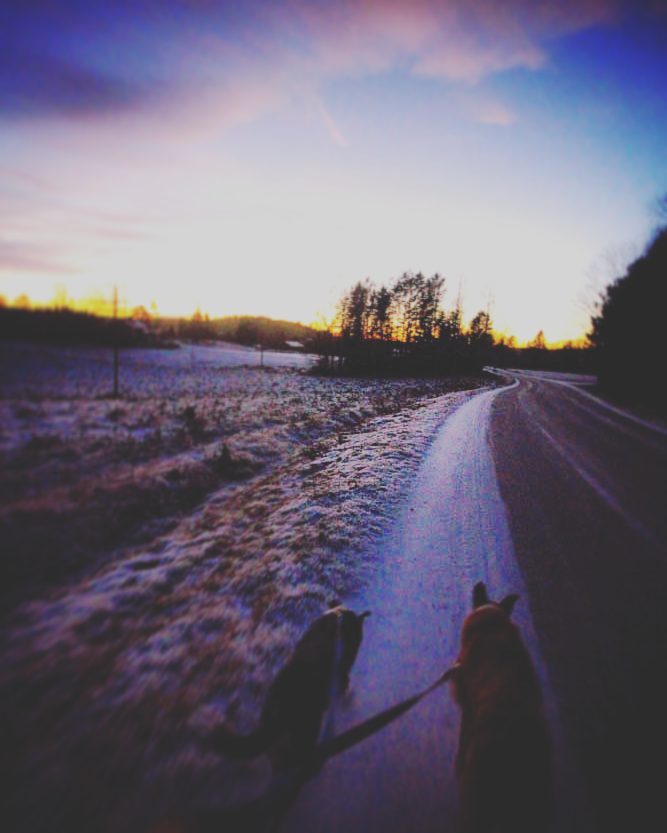 15747530_10154788234758955_6401094533578372198_n