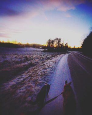 15747530_10154788234758955_6401094533578372198_n