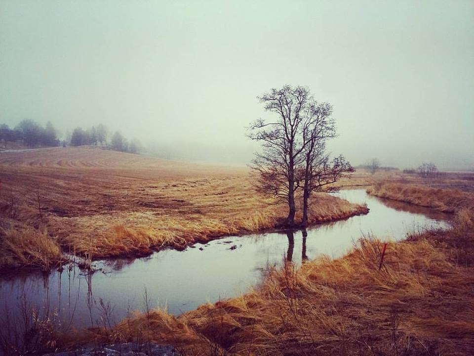 17796245_10155109028408955_4578014843993464912_n