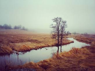 17796245_10155109028408955_4578014843993464912_n