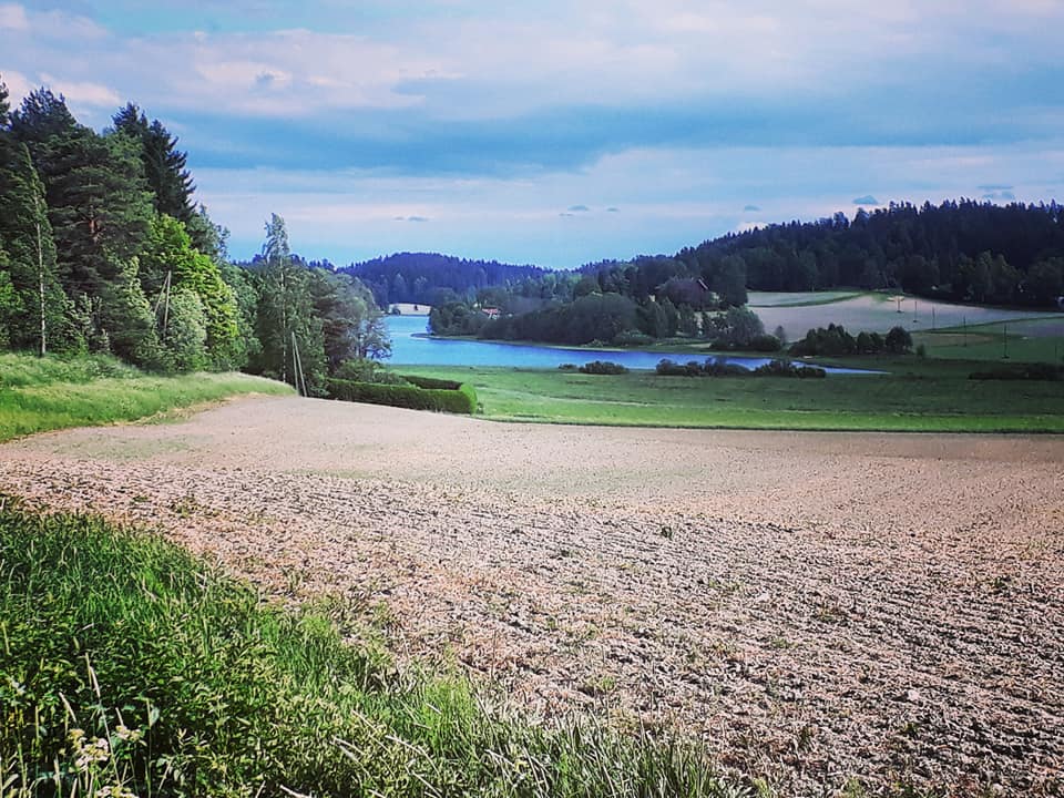 34752569_1910954575862377_4109630403386540032_n