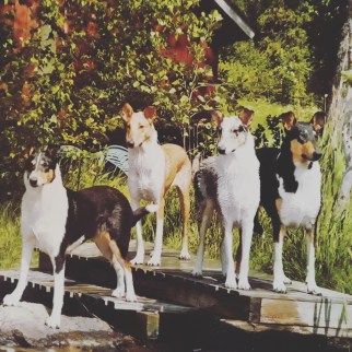 IMG_20180410_130853_021