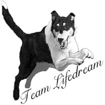 IMG_20180824_093311_311