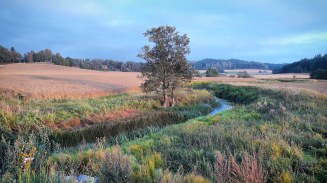 IMG_20180904_202318_375