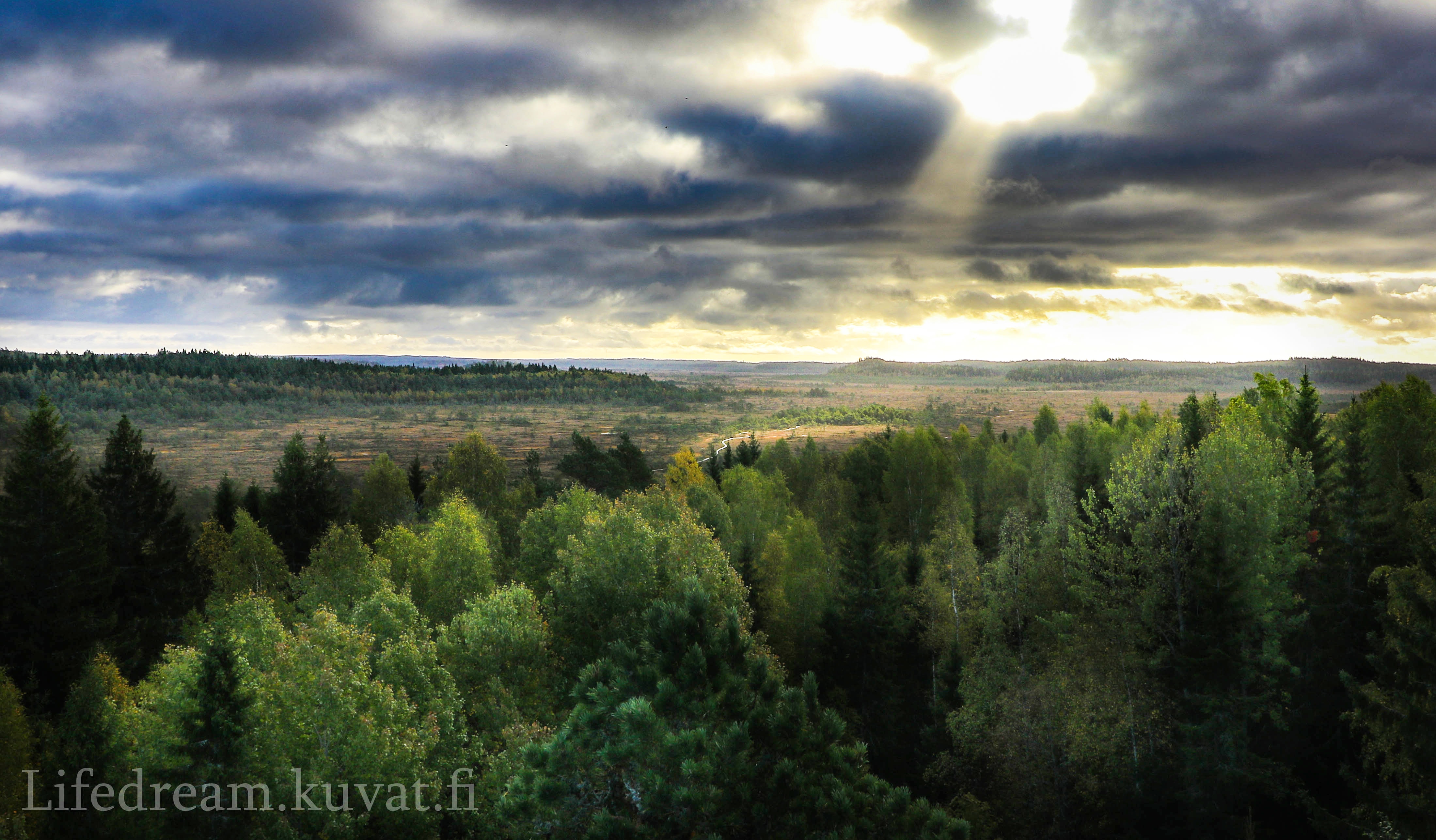 IMG_20180923_174748_654