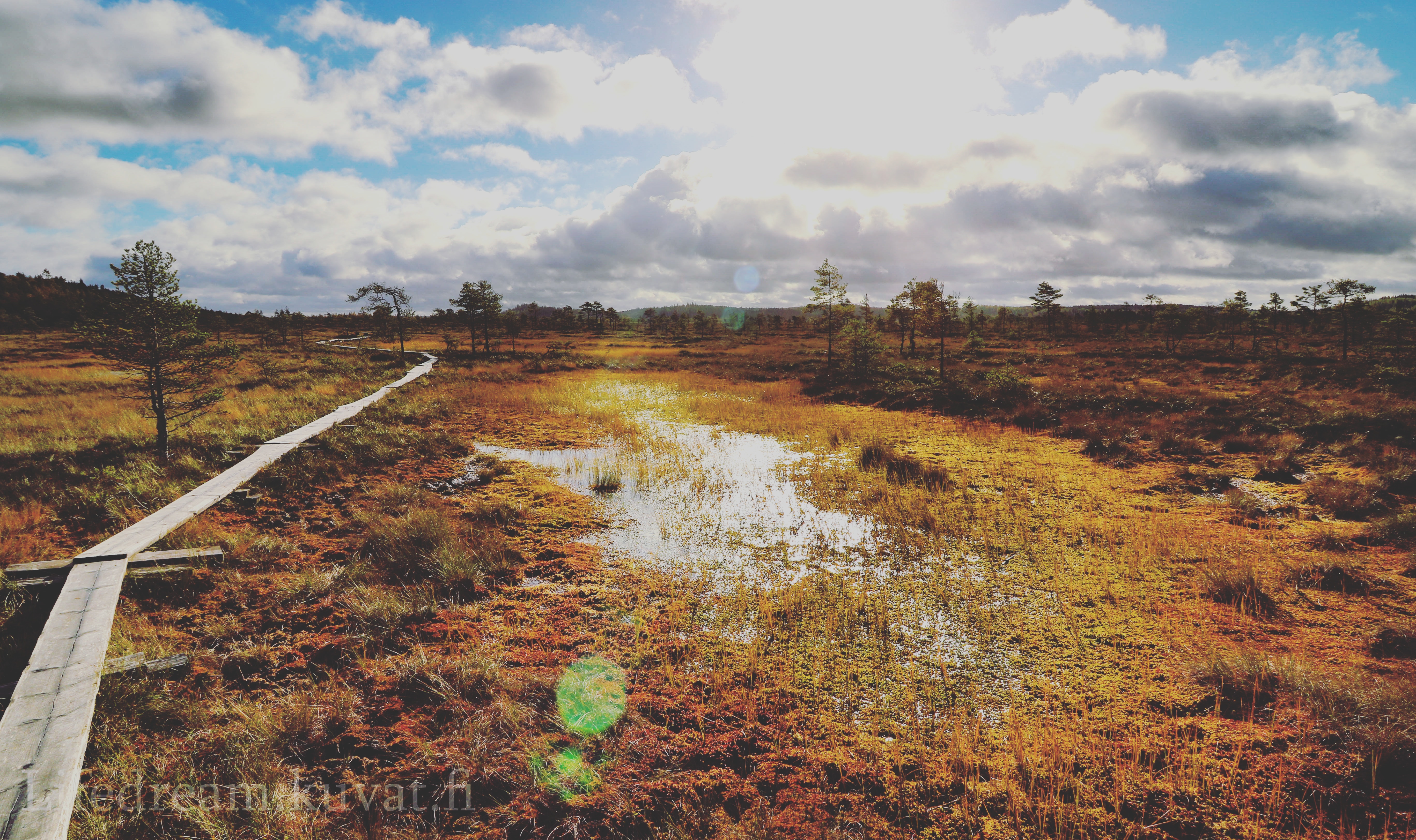 IMG_20180923_175155_051