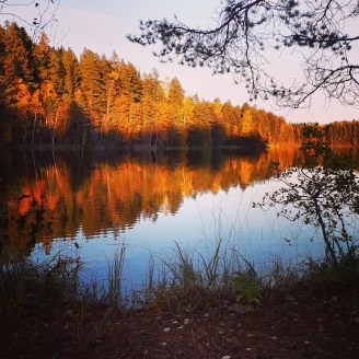 IMG_20181010_204104_184