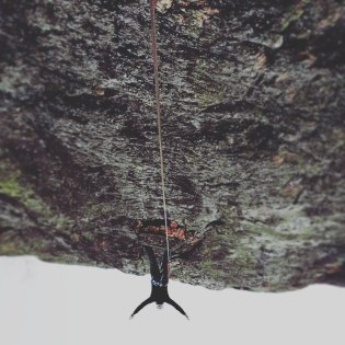 IMG_20181015_083158_853