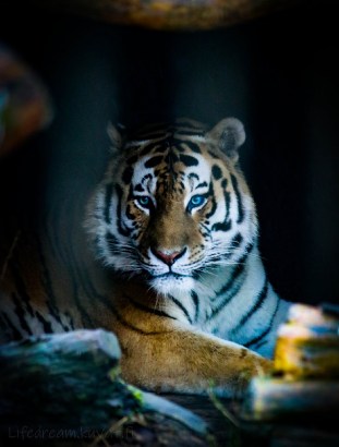 3G5A1048 (606x800) (2)