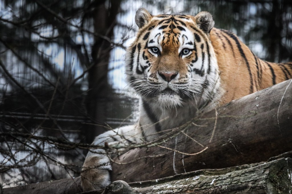 Motivaatiota ympäristötekoihin