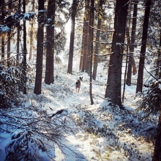 IMG_20181224_152320_074