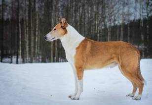 49031502_2183272495026410_8756158360455217152_n