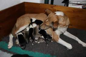 fb_img_1545317958447